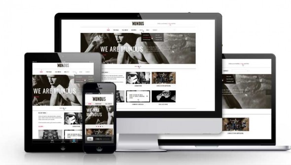 Responsive-showcase-presentation